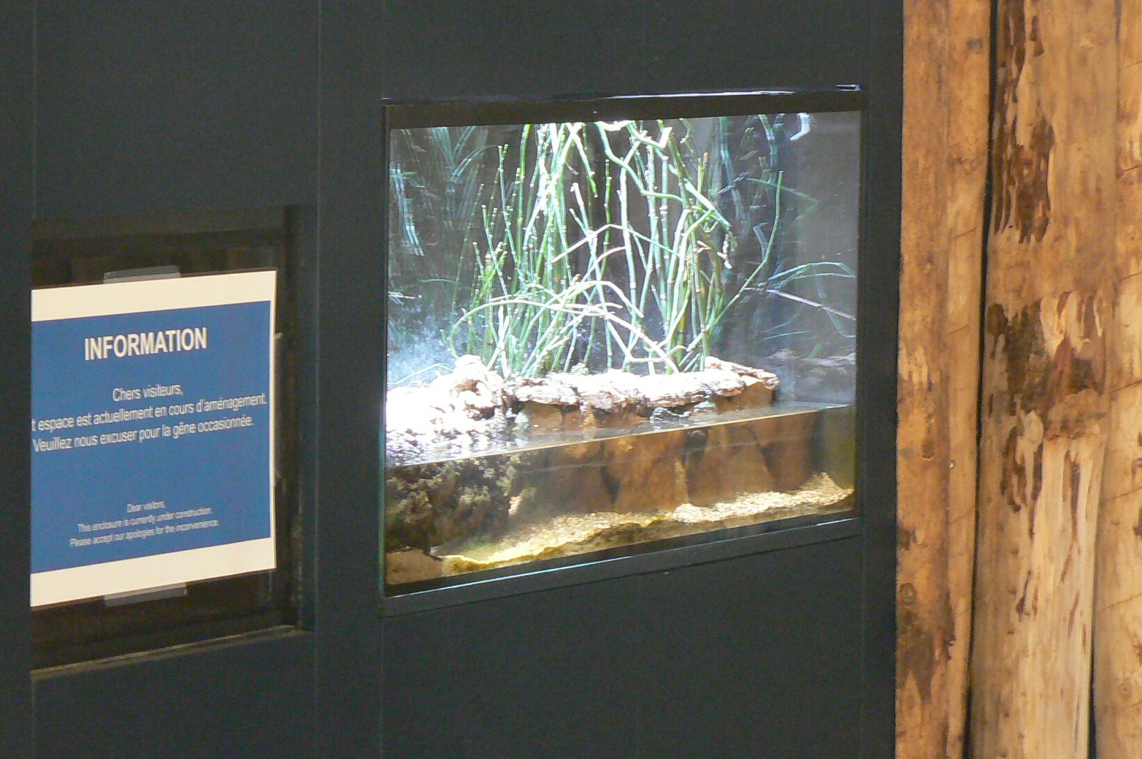 Tropical Dome - Beauval Nature Camp under construction