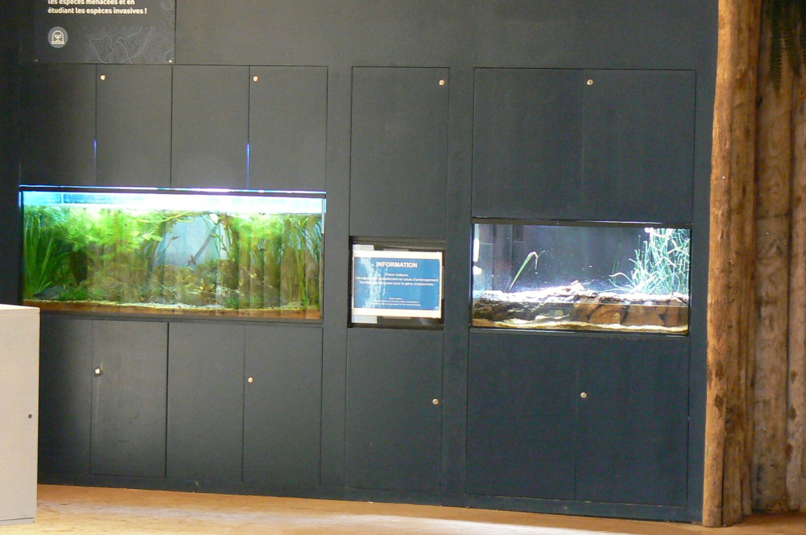 Tropical Dome - Beauval Nature Camp under construction