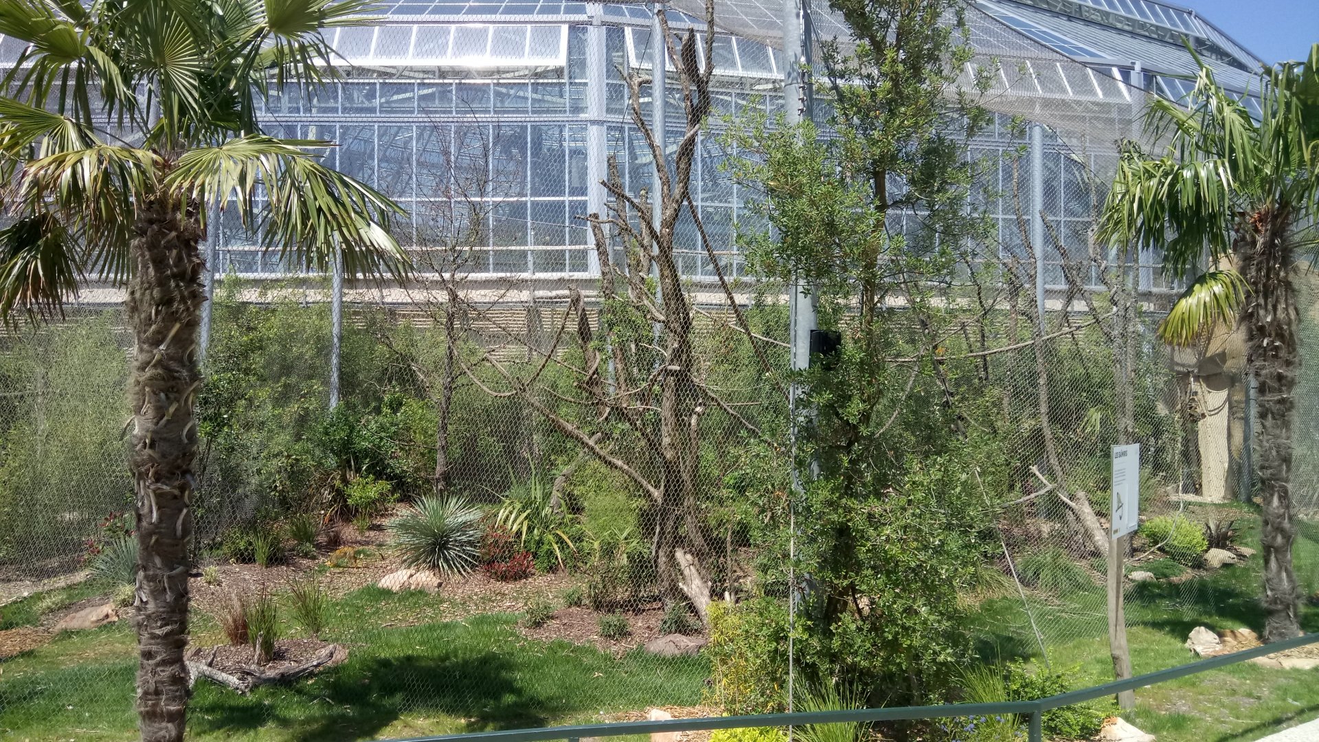 Tropical Dome - Bolivian squirrel monkeys and southern tamanduas outdoor aviary
