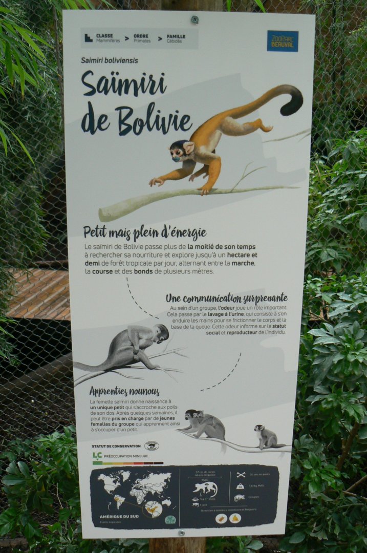 Tropical dome - Bolivian squirrel monkeys signage
