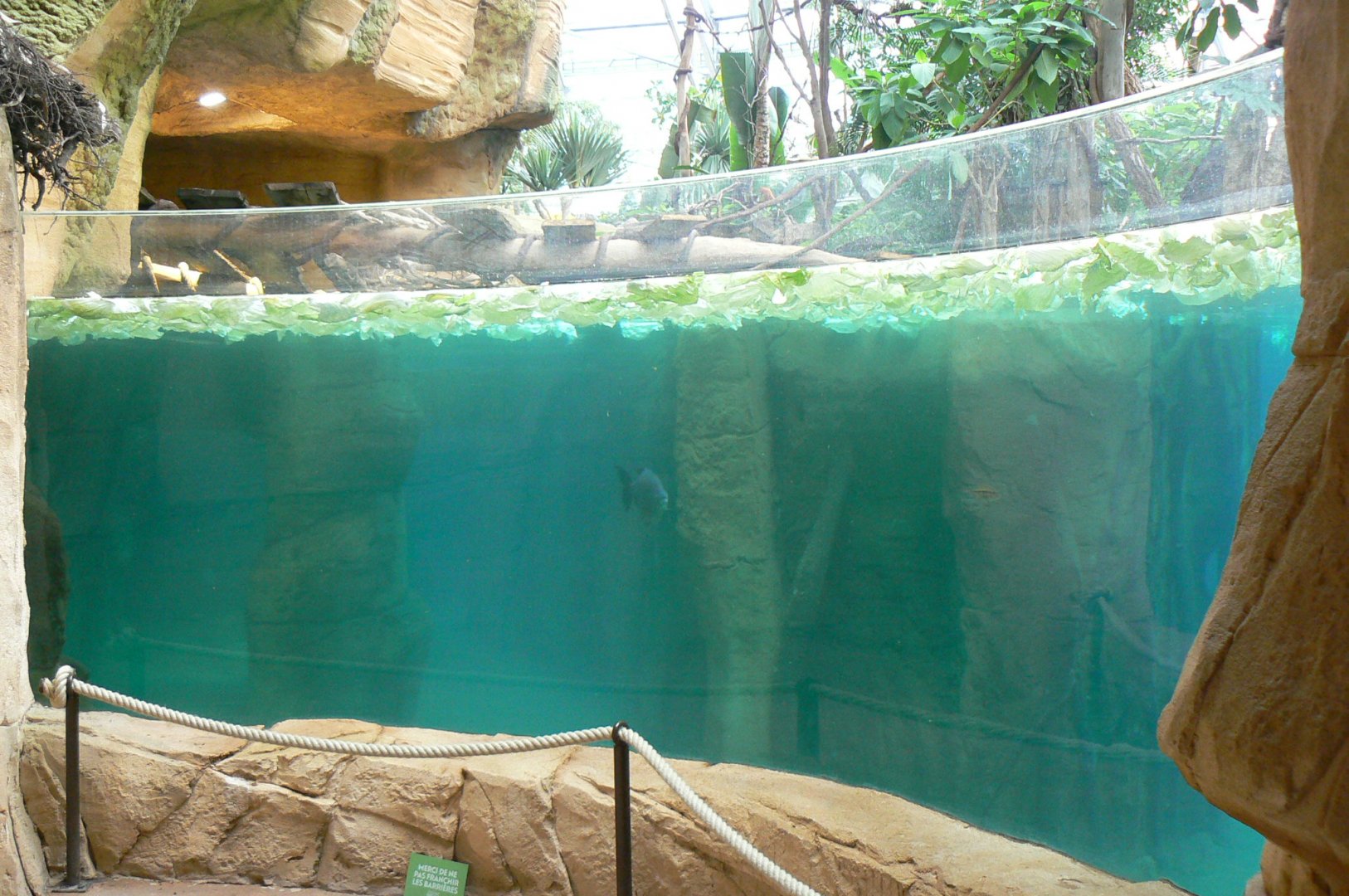 Tropical dome - Cave between the manatees and the giant otters - Main manatee pool