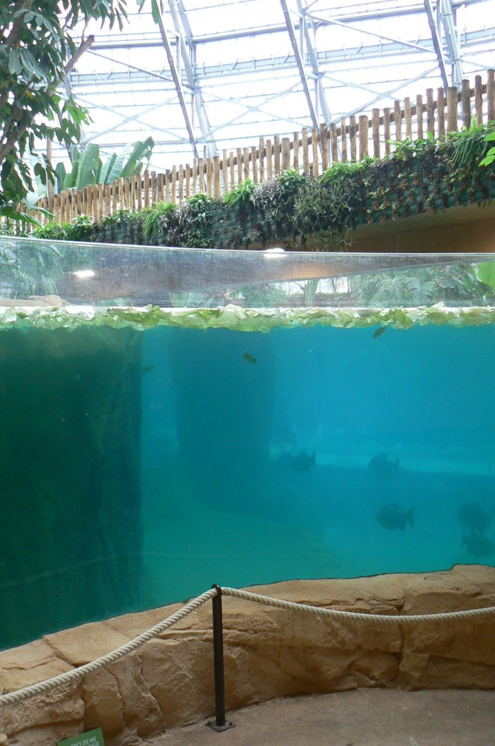 Tropical dome - Cave between the manatees and the giant otters - Main manatee pool