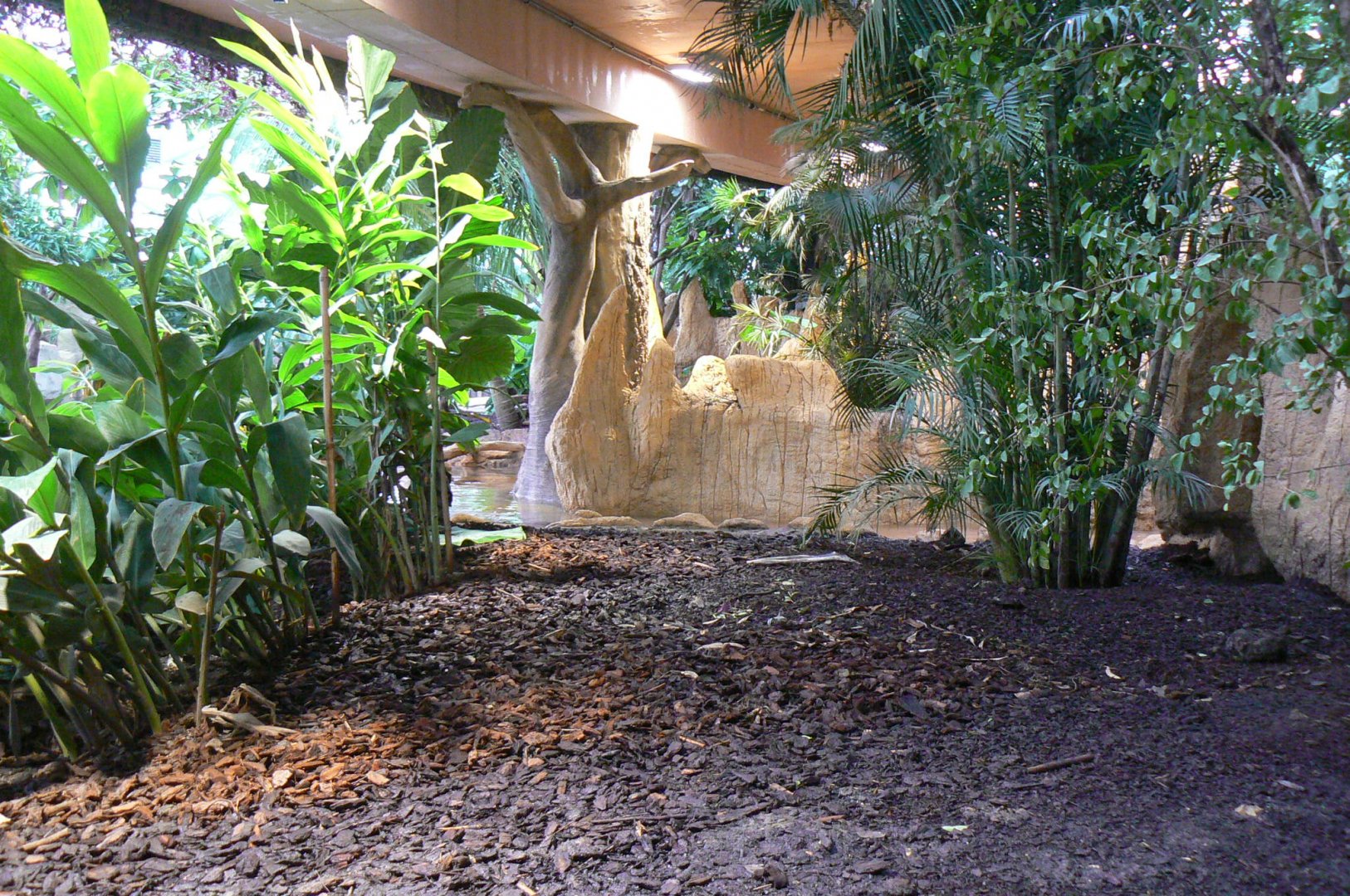 Tropical dome - Cave between the manatees and the giant otters - View on the giant otters exhibit