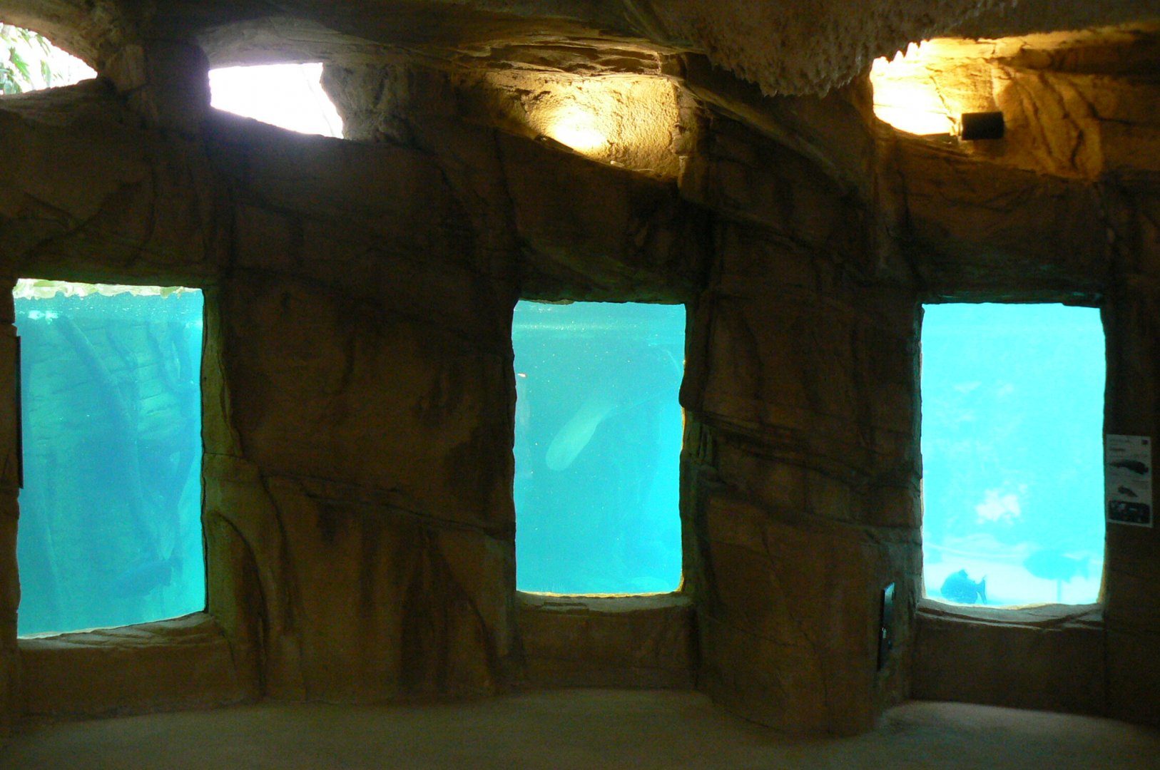 Tropical dome - Cave between the manatees and the giant otters - View ont he main manatee pool
