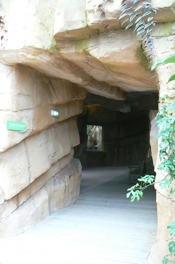 Tropical dome - Cave between the manatees and the giant otters