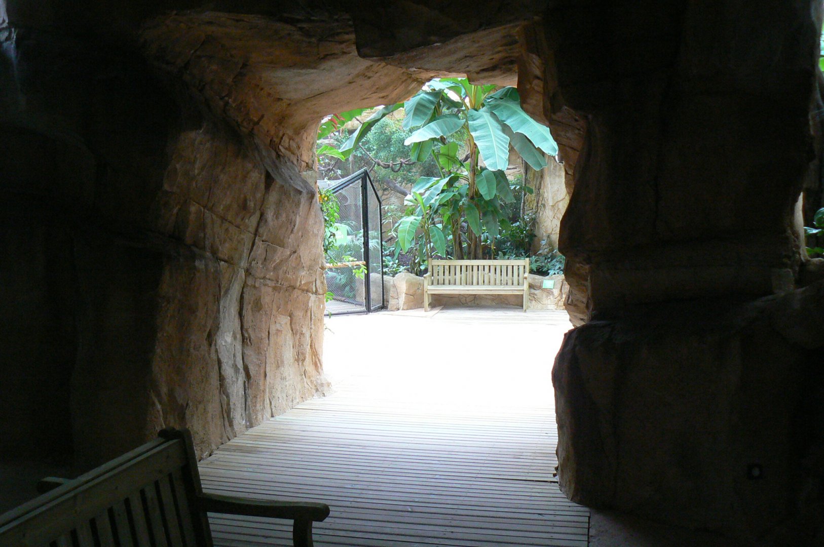 Tropical dome - Cave between the manatees and the giant otters