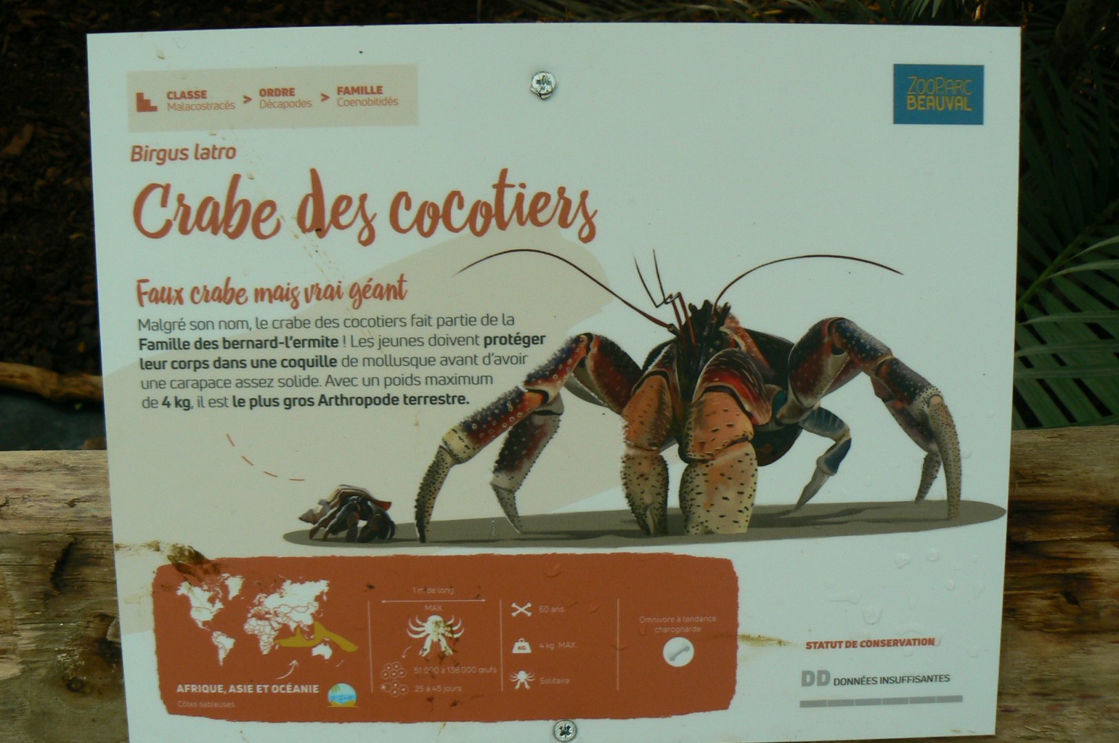 Tropical dome - Coconut crab signage (not seen)