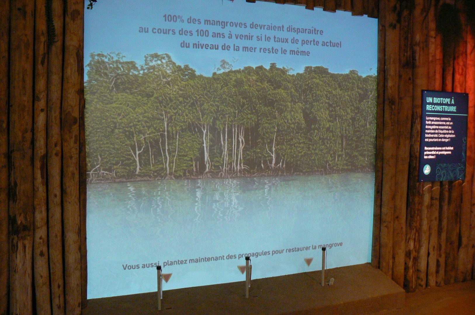 Tropical dome - Conservation Camp