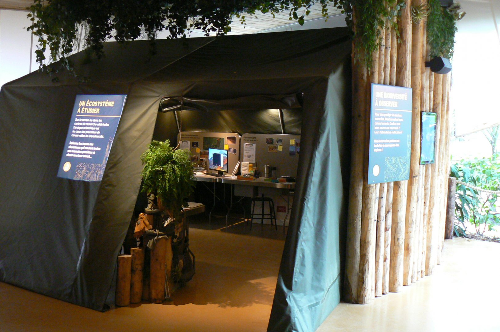 Tropical dome - Conservation Camp