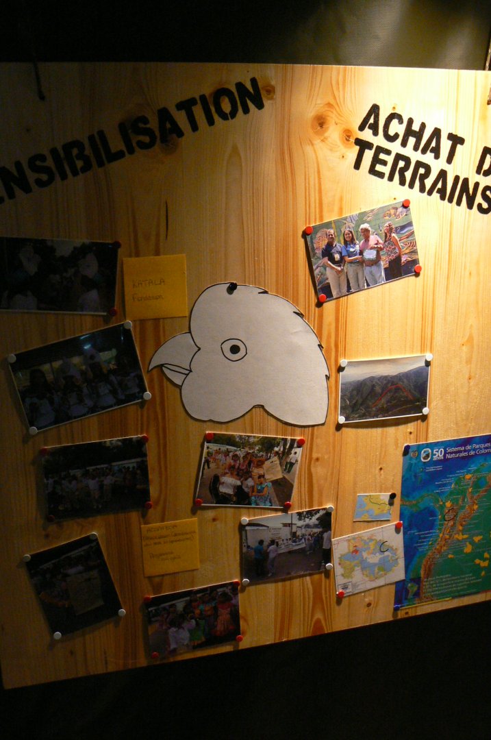 Tropical dome - Conservation Camp