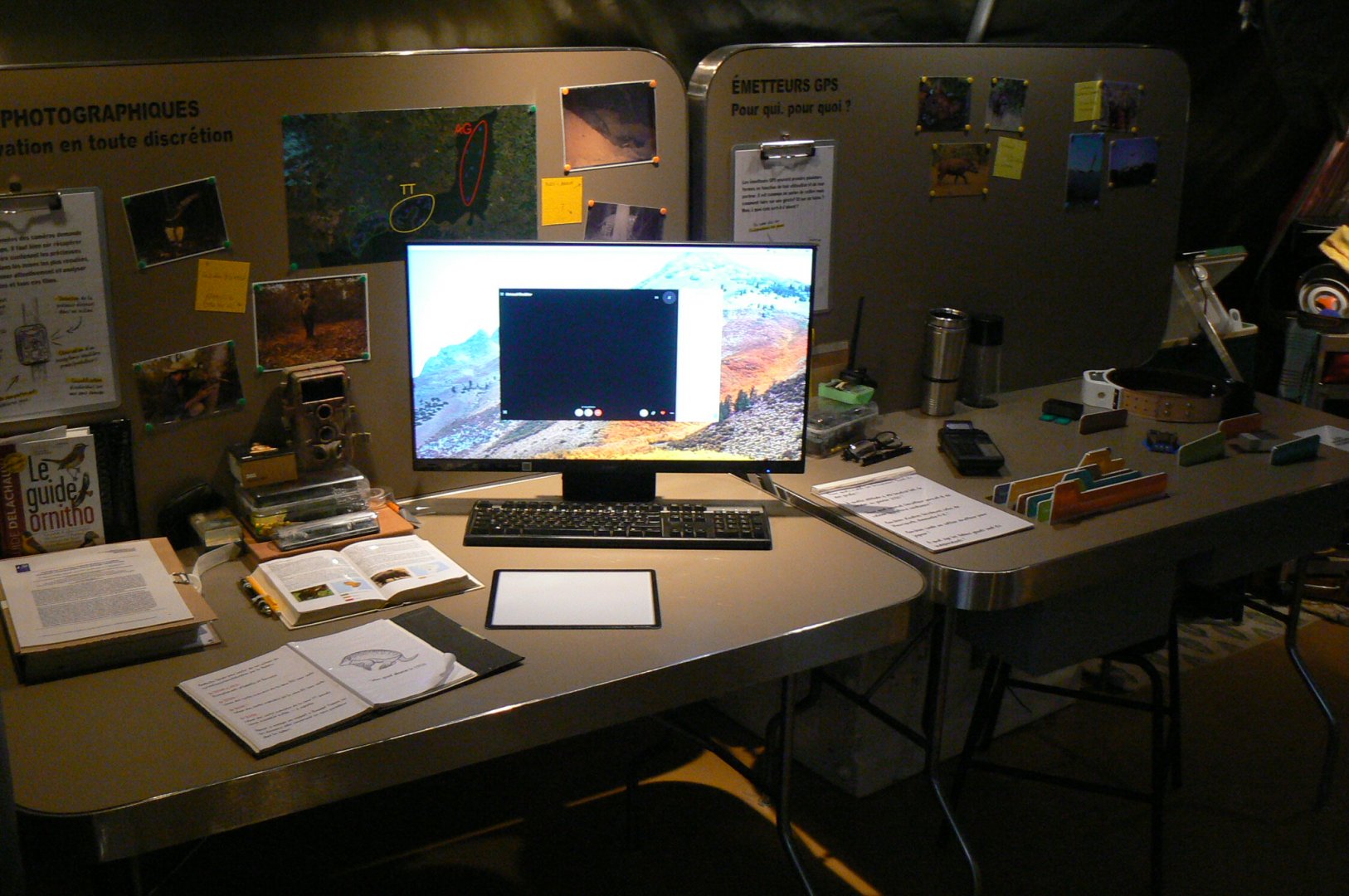 Tropical dome - Conservation Camp