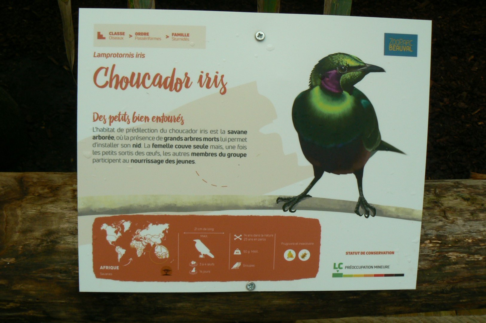 Tropical dome - Emerald starling signage