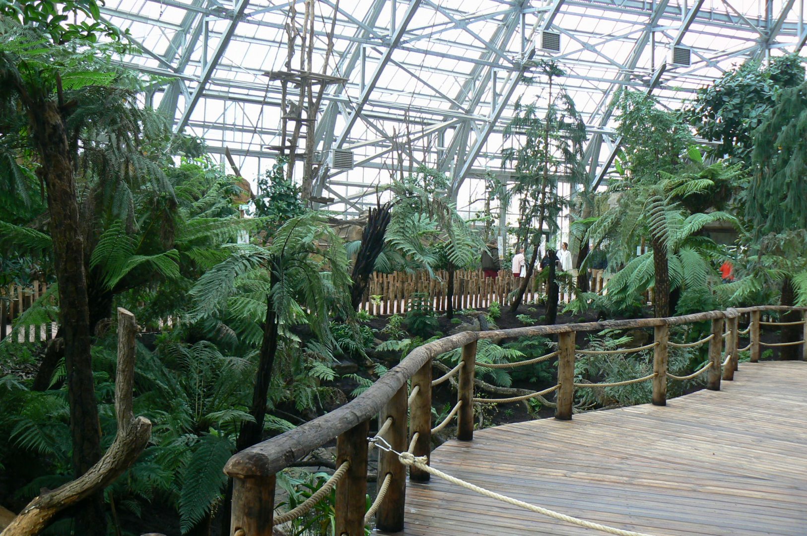 Tropical dome - Empty area for giant asian pond turtles and free-ranging birds