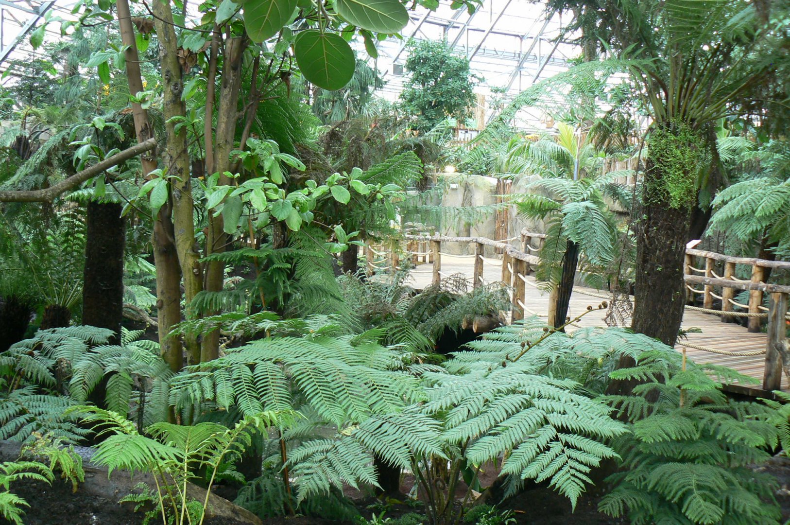 Tropical dome - Empty area for giant asian pond turtles and free-ranging birds