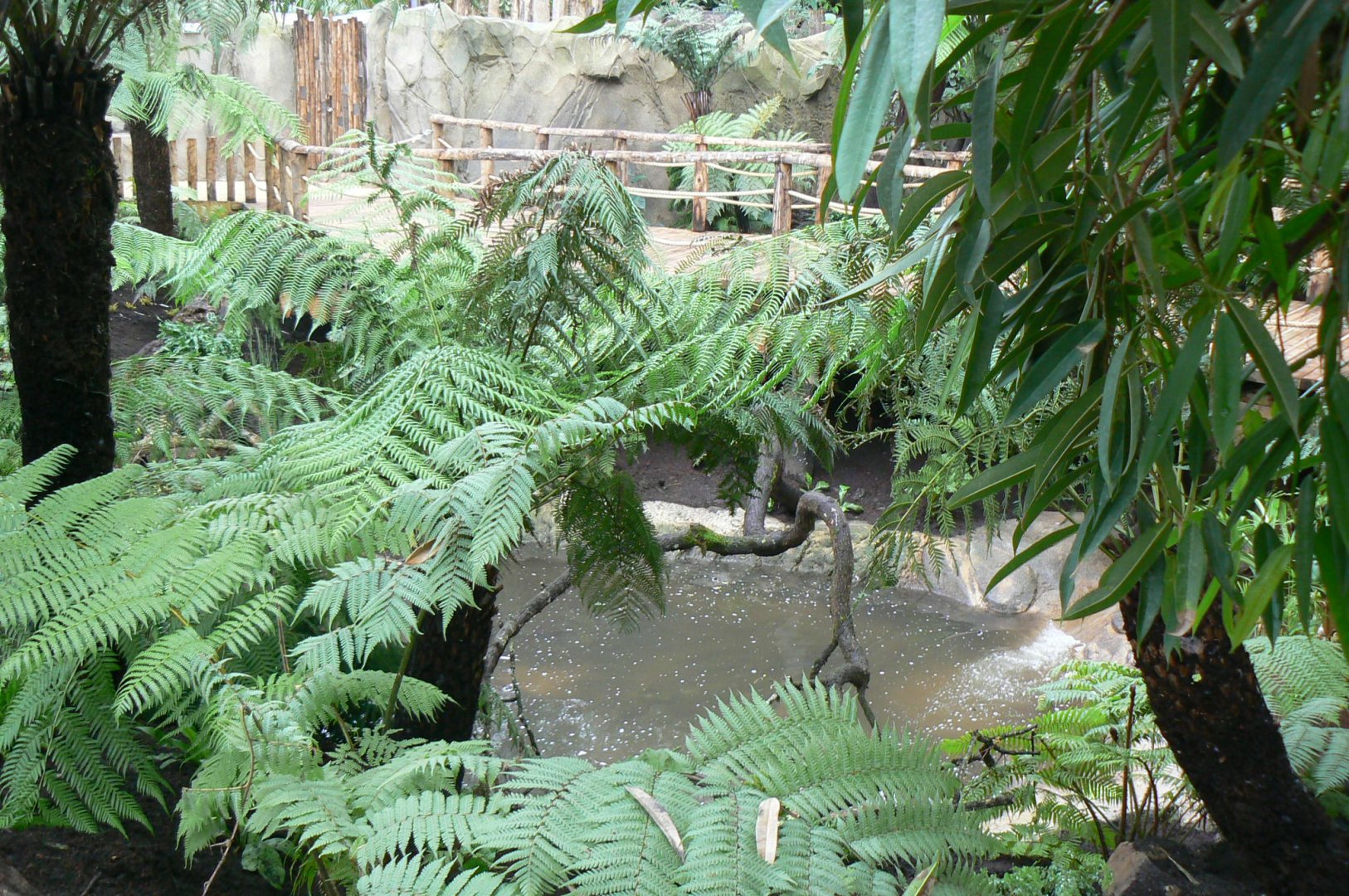 Tropical dome - Empty area for giant asian pond turtles and free-ranging birds