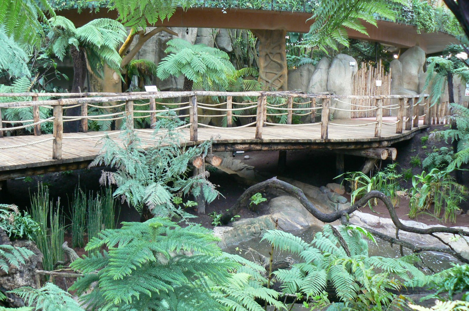 Tropical dome - Empty area for giant asian pond turtles and free-ranging birds