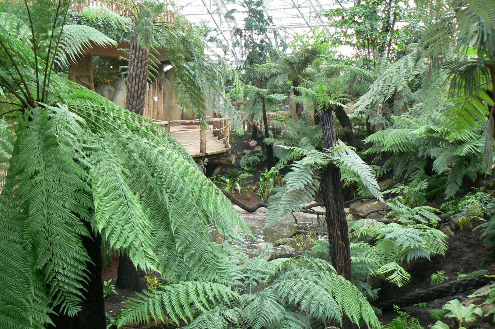 Tropical dome - Empty area for giant asian pond turtles and free-ranging birds