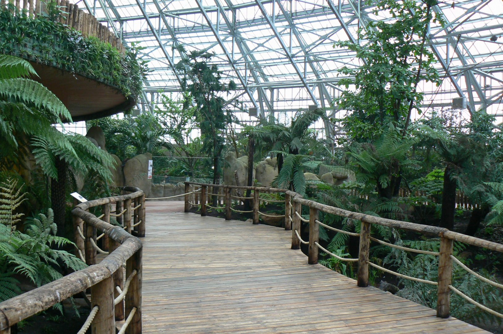 Tropical dome - Empty area for giant asian pond turtles and free-ranging birds
