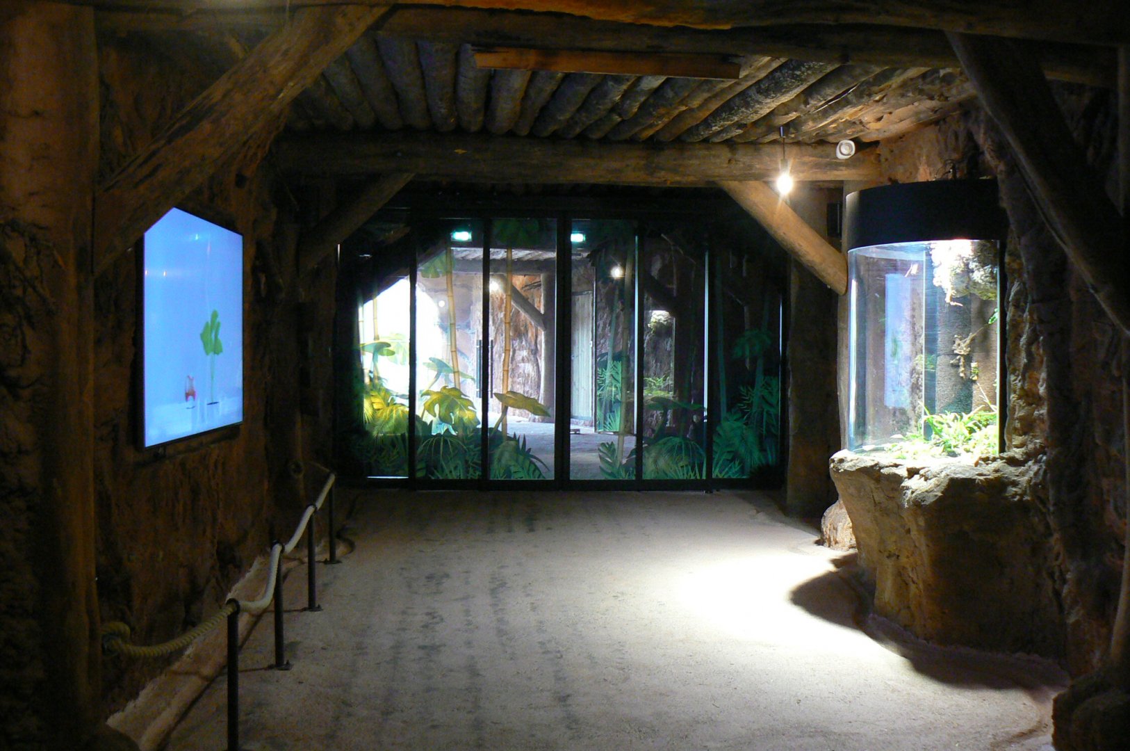 Tropical dome - Entrance tunnel with two terrariums and two aquariums