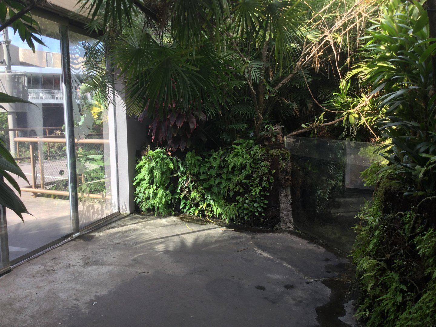 Tropical Dome Entrance