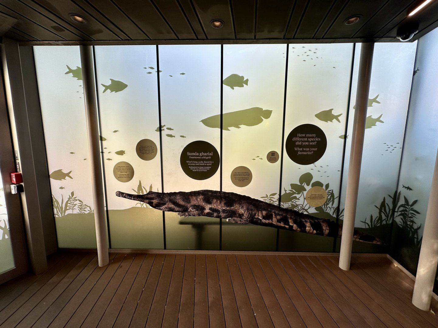 Tropical Dome Exit Foyer