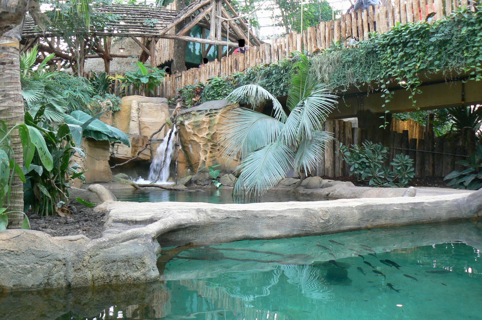 Tropical dome - First enclosure for false gharial