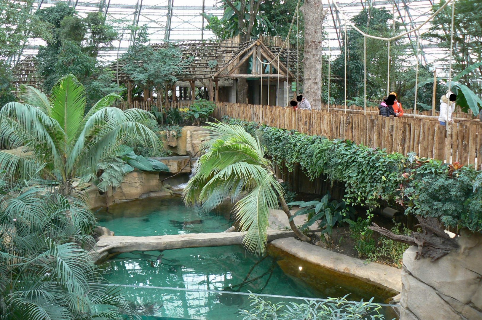 Tropical dome - First enclosure for false gharial