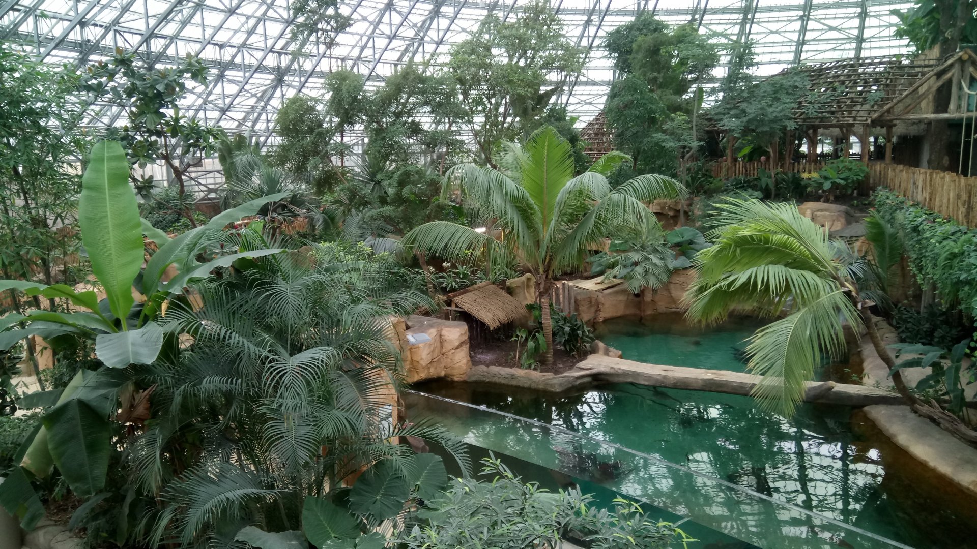 Tropical dome - First false gharial enclosure