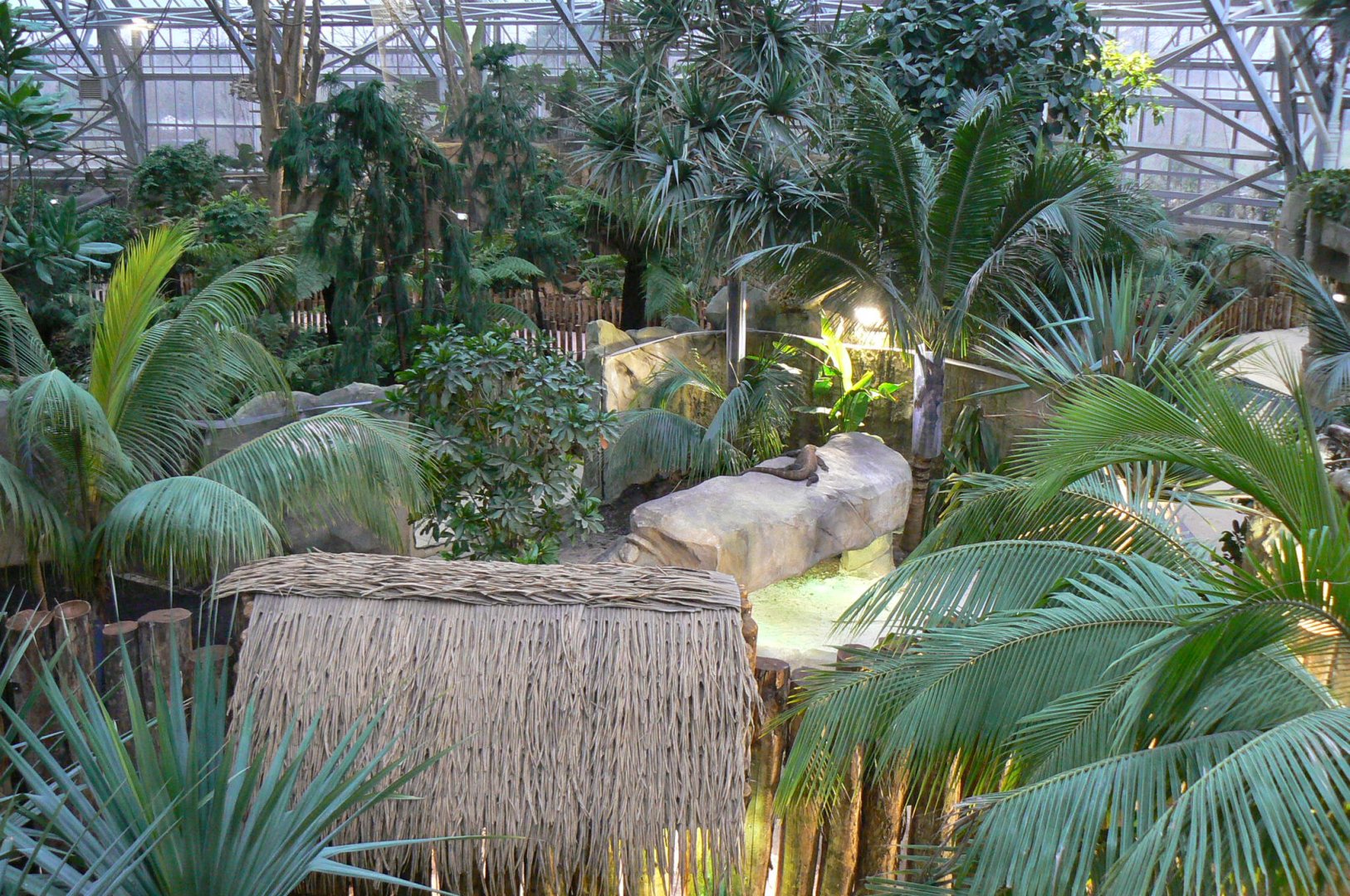 Tropical dome - First komodo dragons exhibit