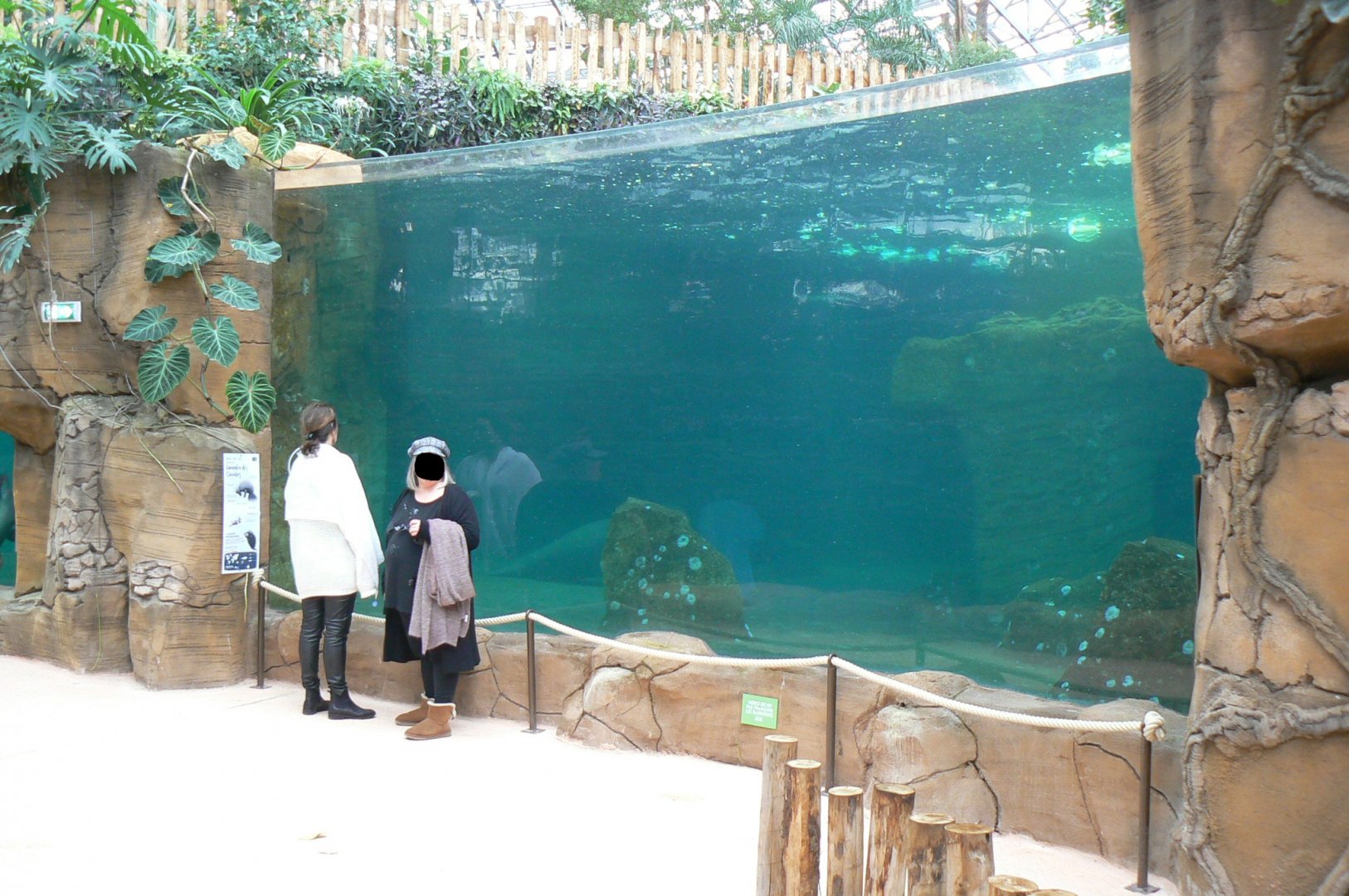 Tropical dome - First manatee pool