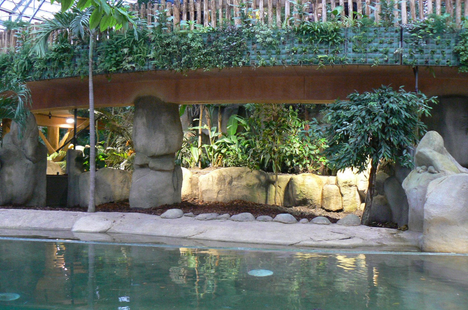 Tropical dome - First pygmy hippo enclosure