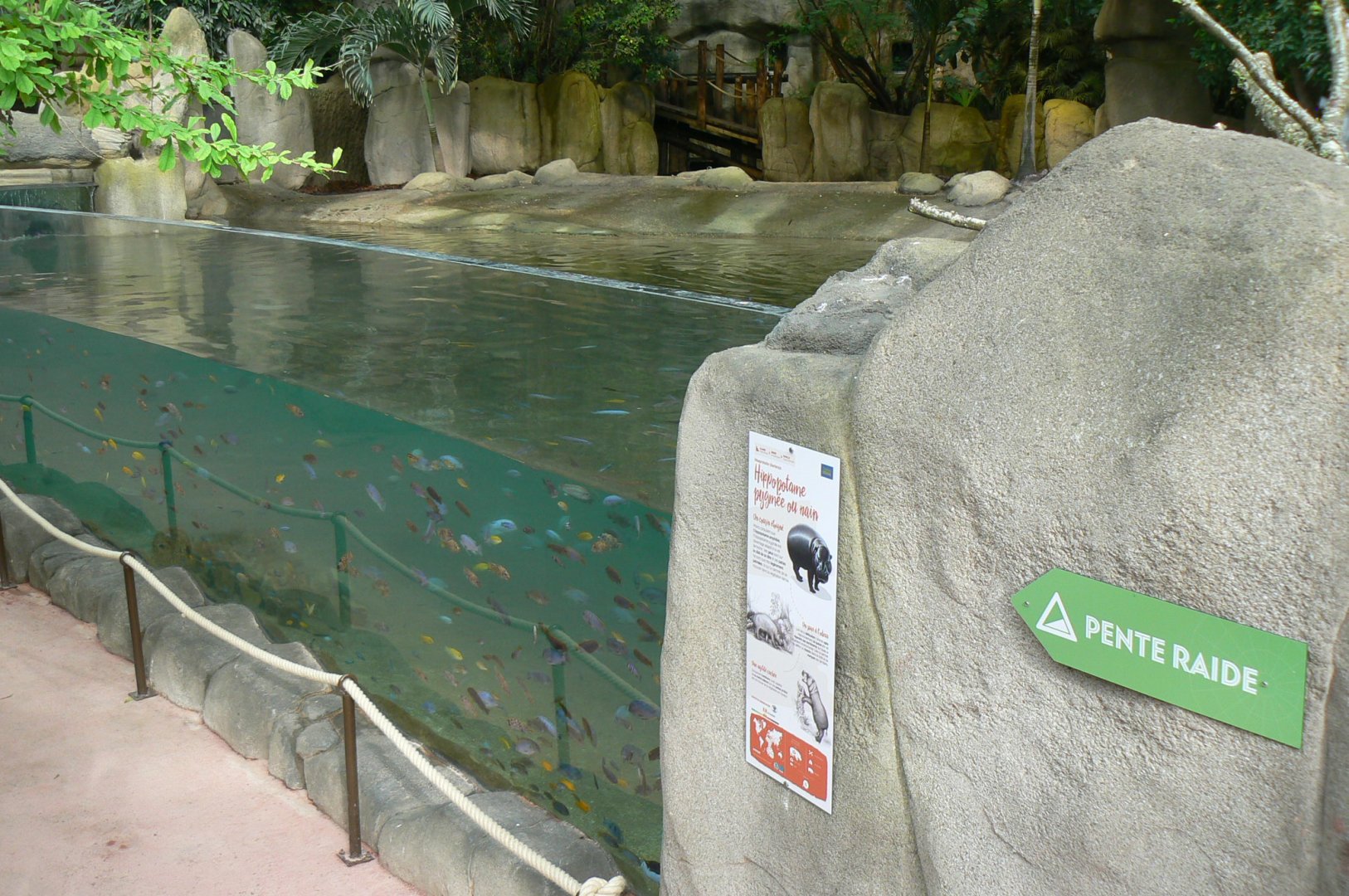 Tropical dome - First pygmy hippo enclosure