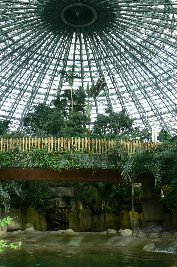 Tropical dome - First pygmy hippo enclosure