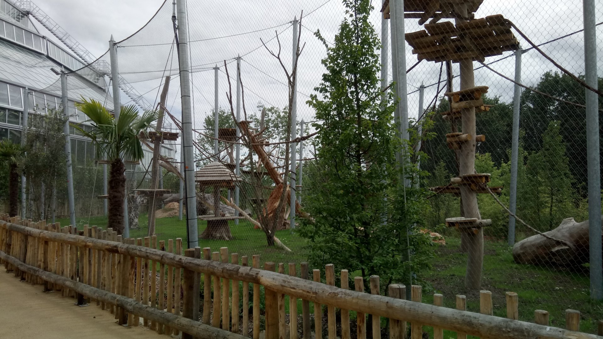 Tropical dome - future douc langurs aviary completed