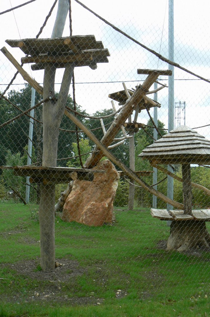 Tropical dome - future douc langurs aviary completed