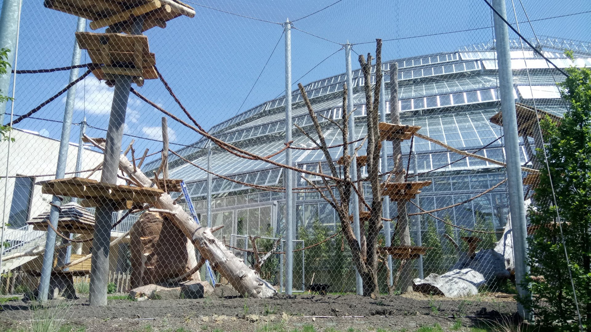Tropical Dome - Future douc langurs outdoor aviary under construction