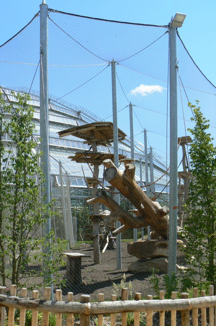Tropical Dome - Future douc langurs outdoor aviary under construction