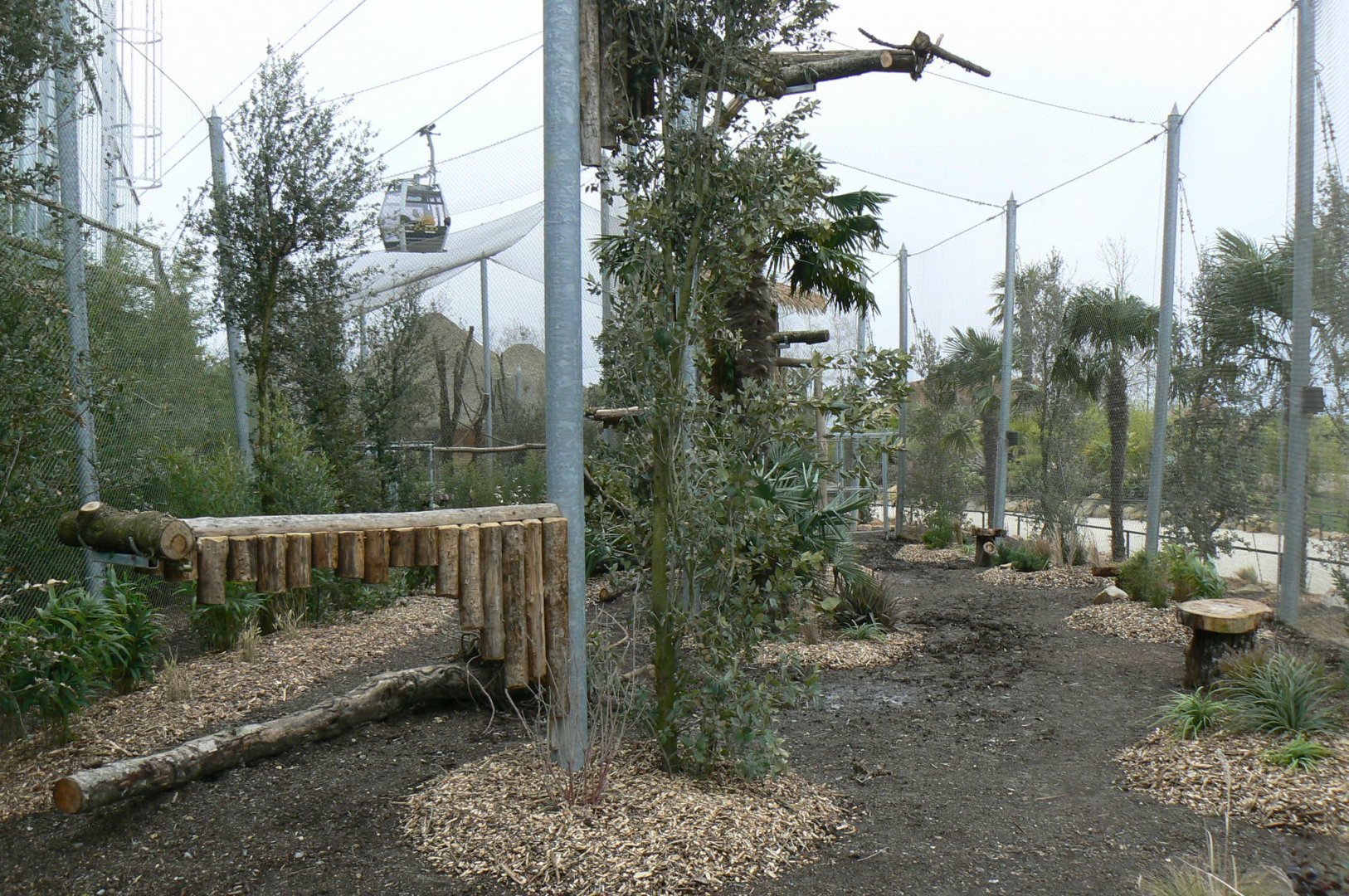 Tropical dome - Future harpy eagles aviary (maybe !)