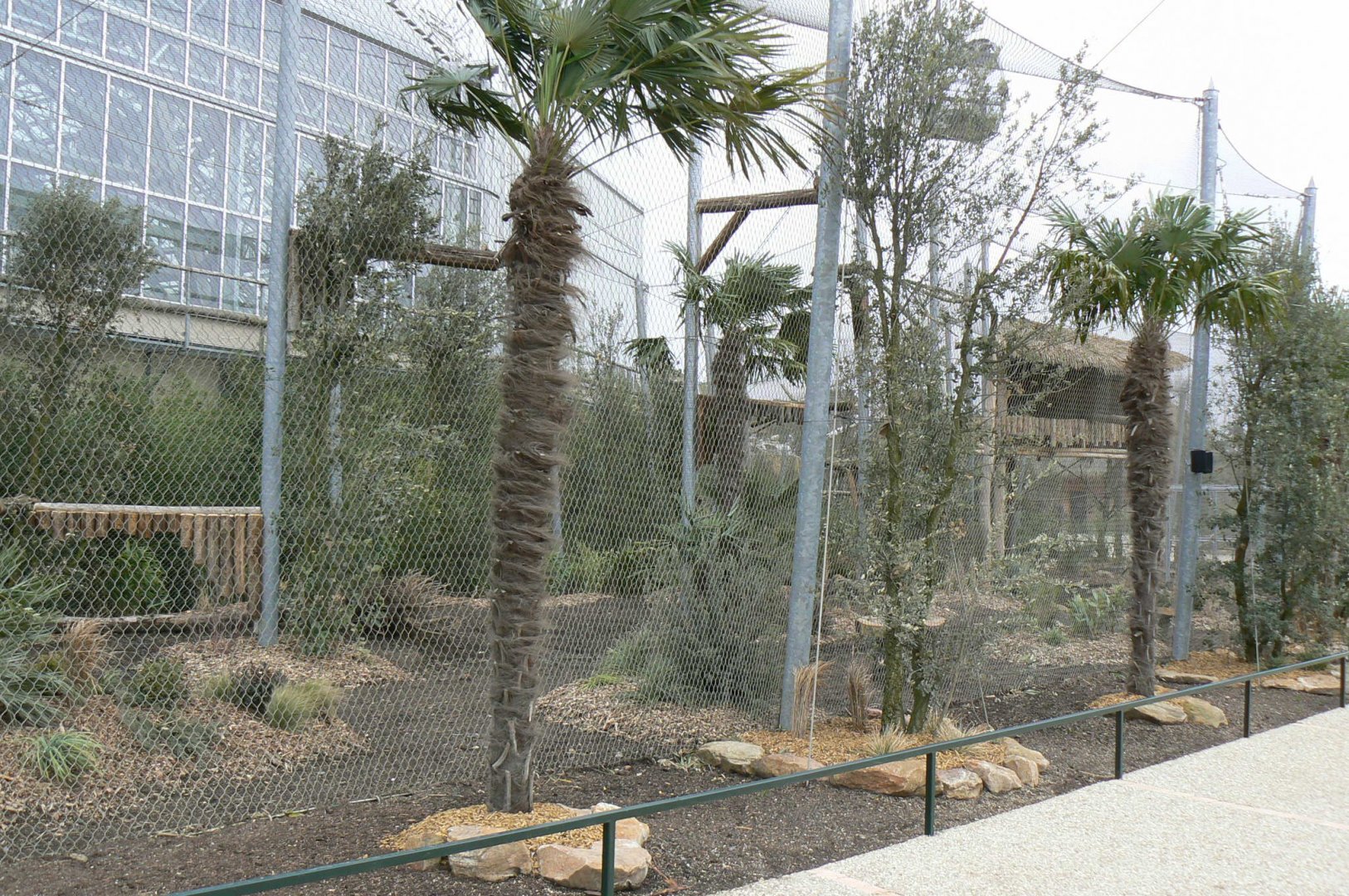 Tropical dome - Future harpy eagles aviary (maybe !)