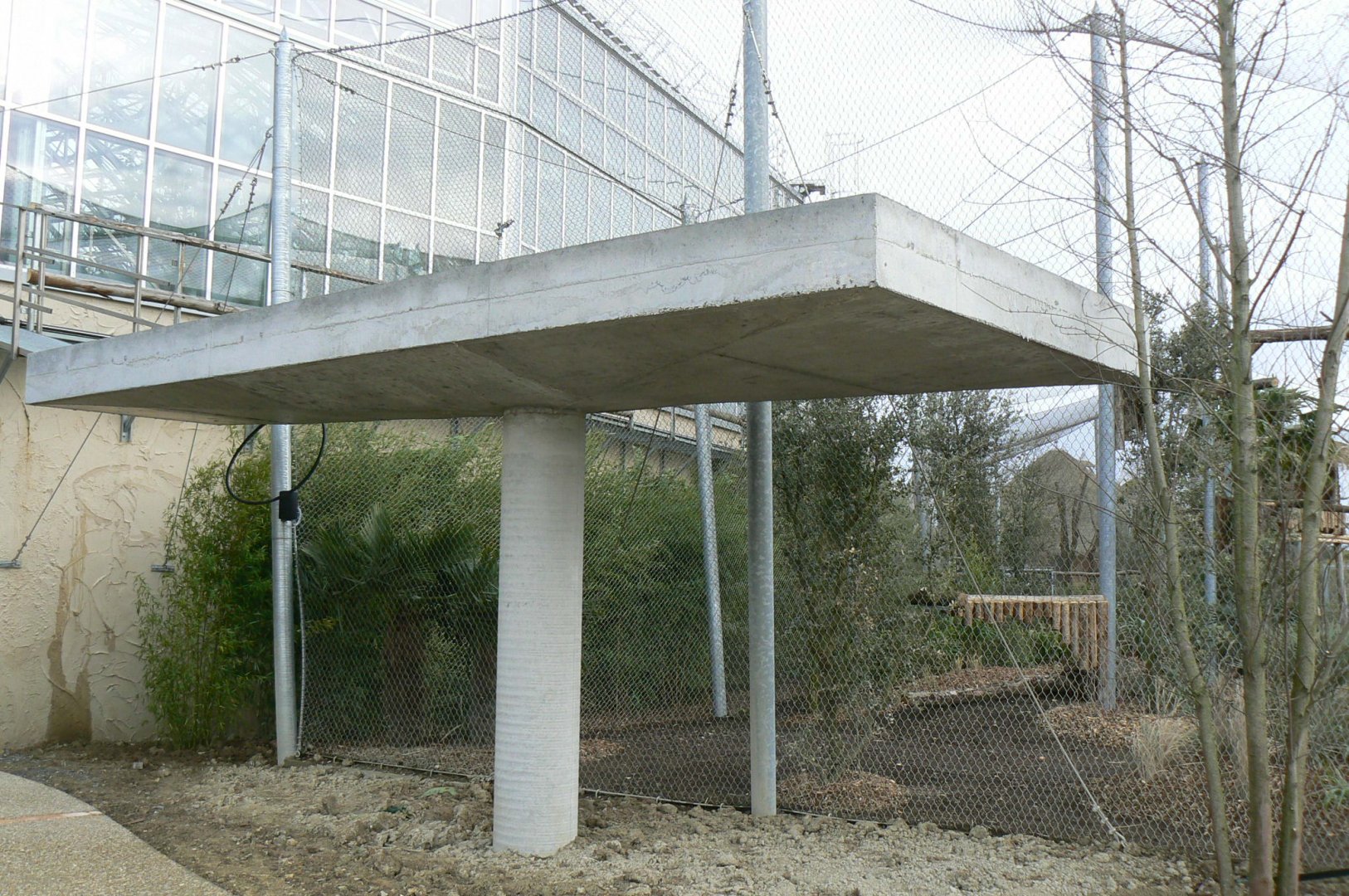 Tropical dome - Future harpy eagles exhibit (fingers crossed)