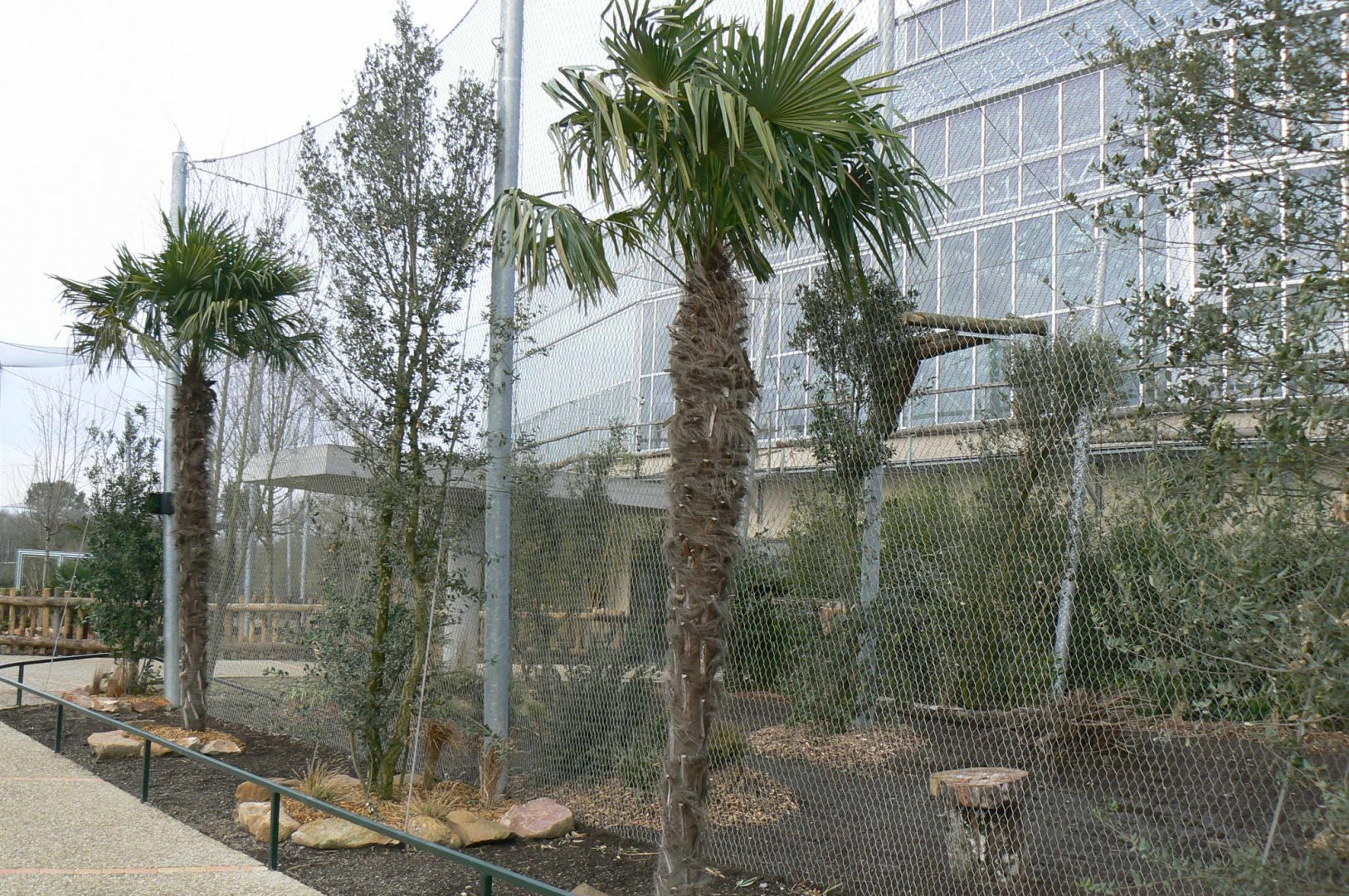 Tropical dome - Future harpy eagles exhibit (fingers crossed)