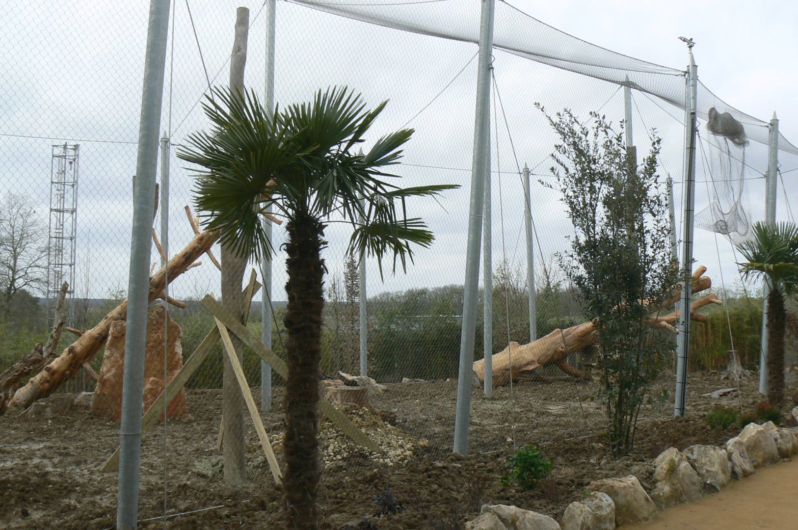 Tropical dome - Future outdoor aviary for douc langurs (maybe !)