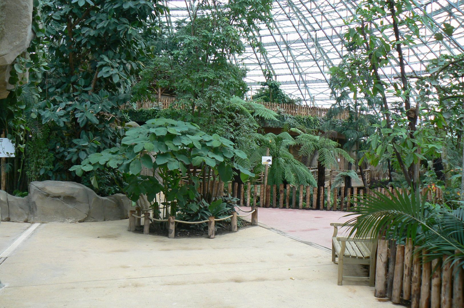 Tropical dome - General view