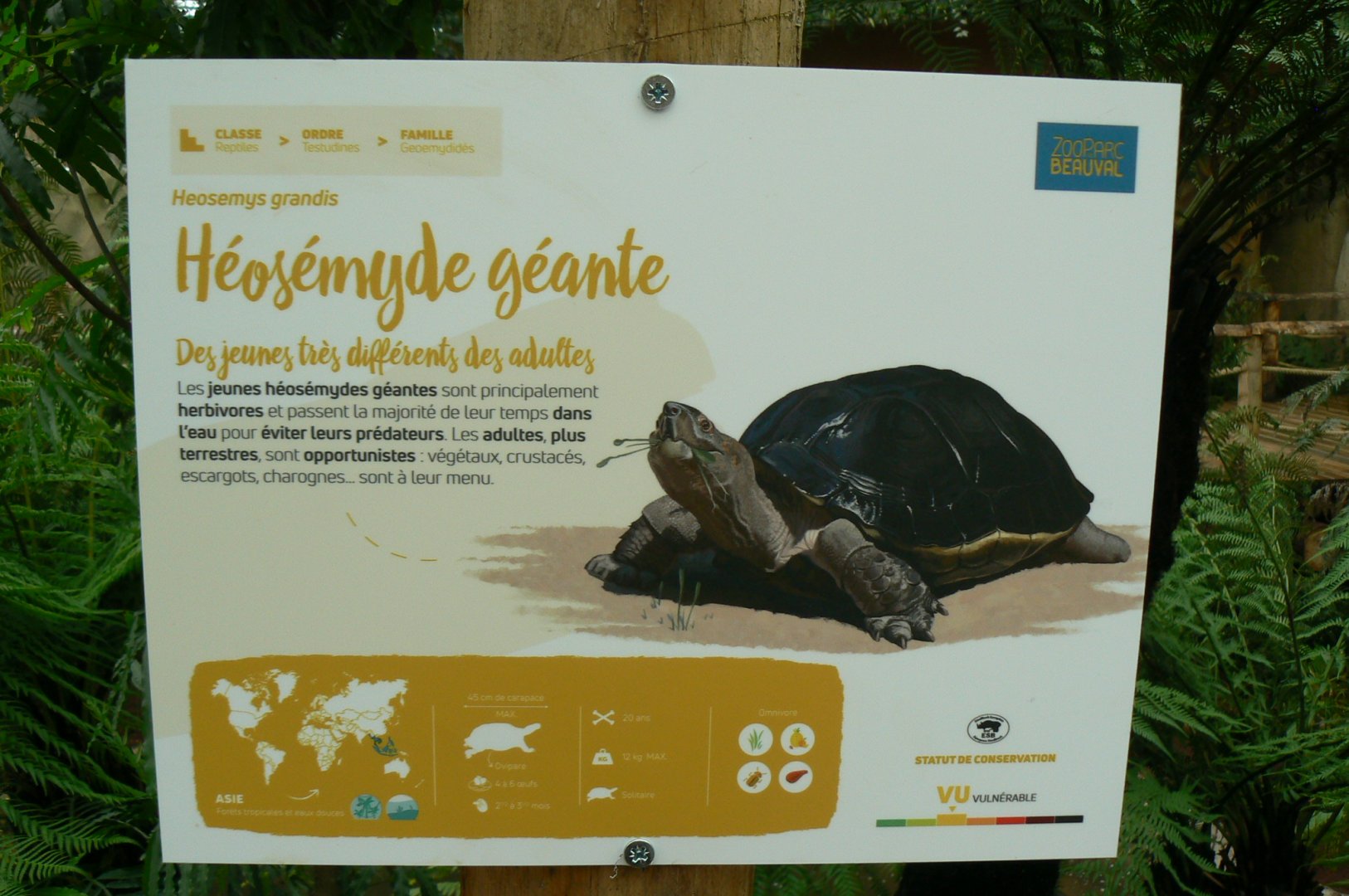 Tropical dome - Giant asian pond turtle signage