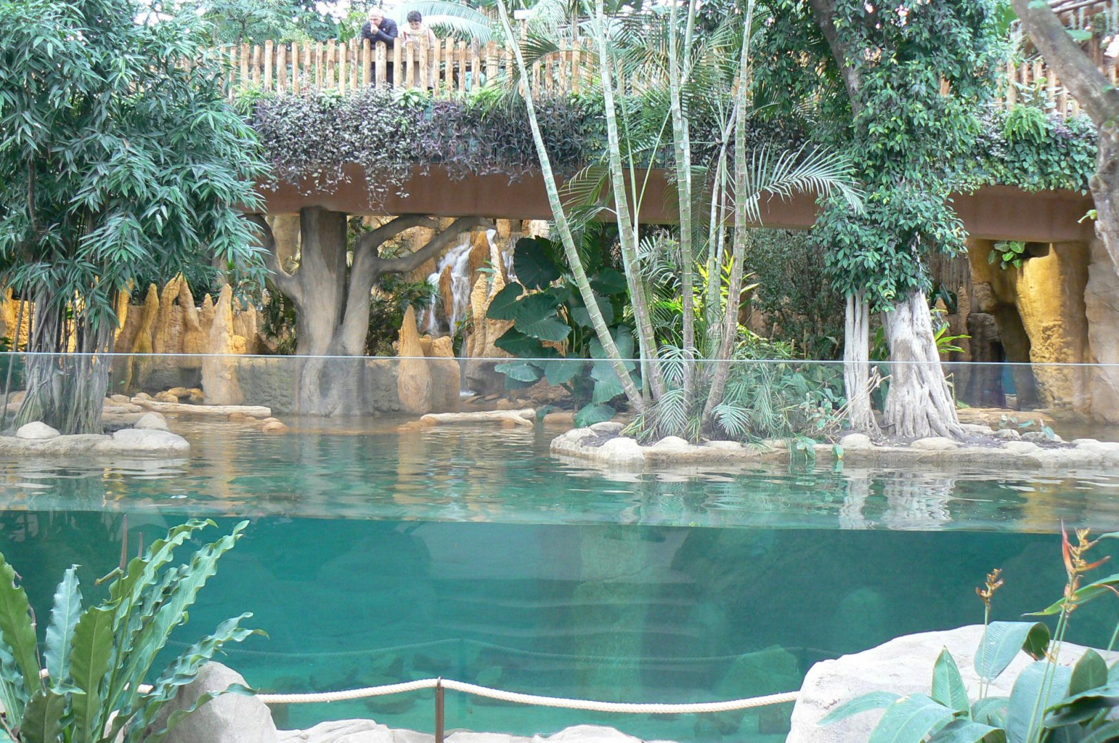 Tropical dome - Giant river otters exhibit