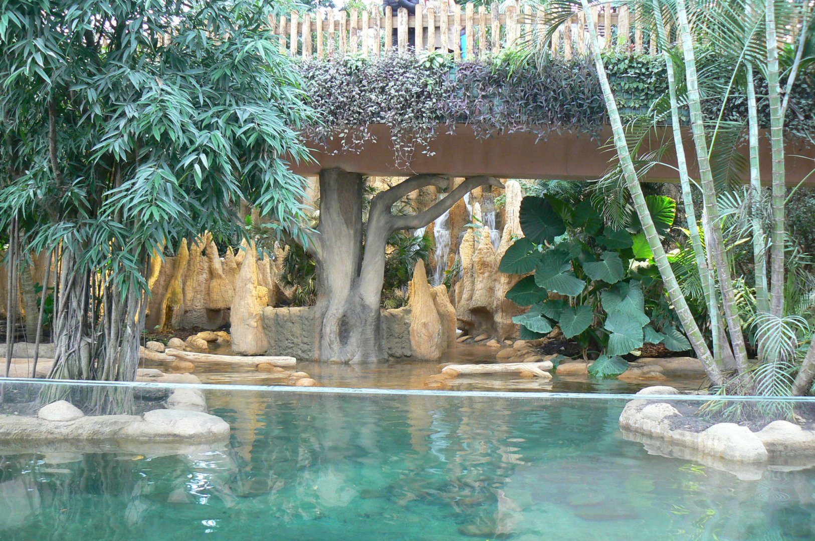 Tropical dome - Giant river otters exhibit