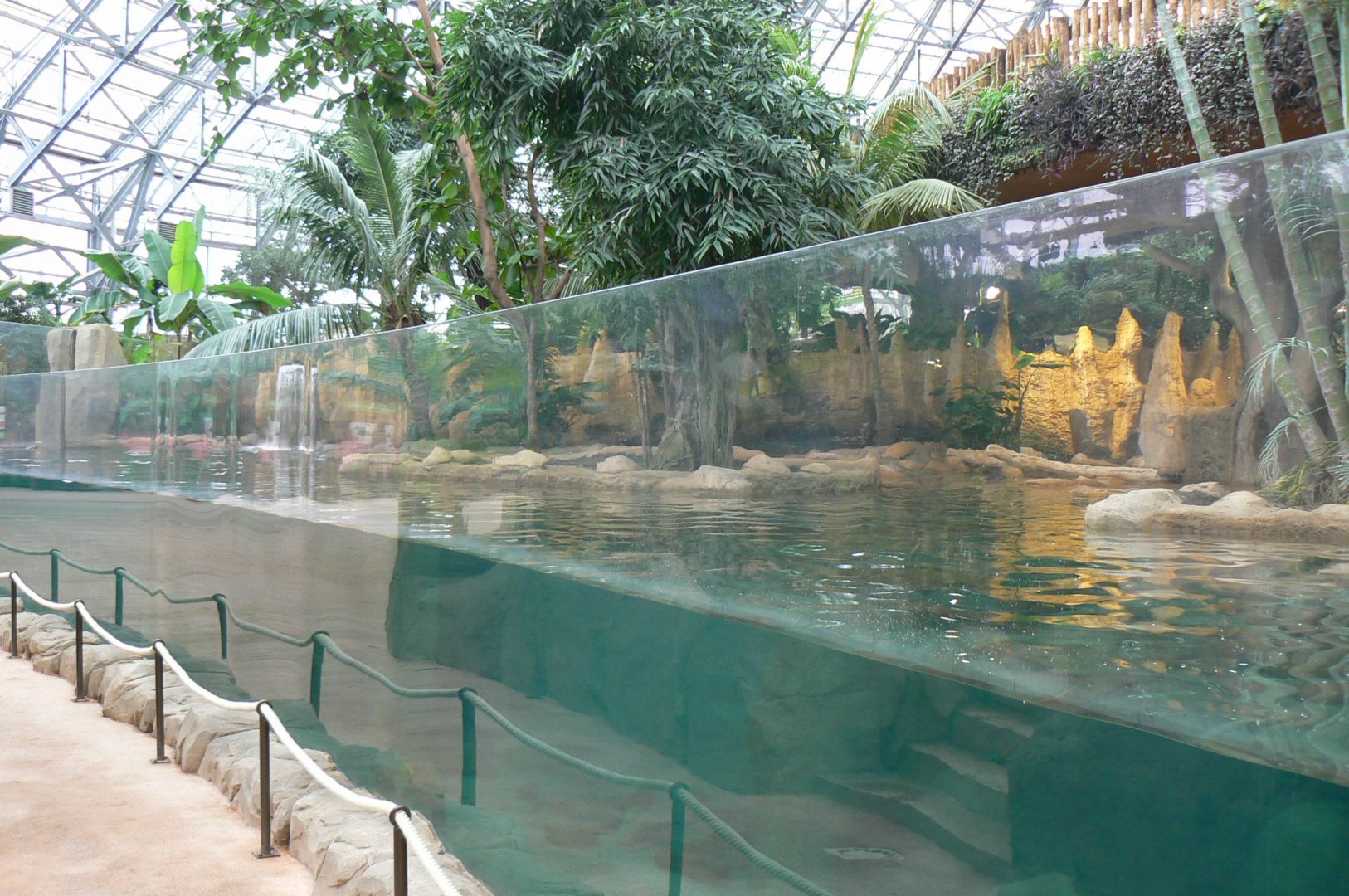 Tropical dome - Giant river otters exhibit