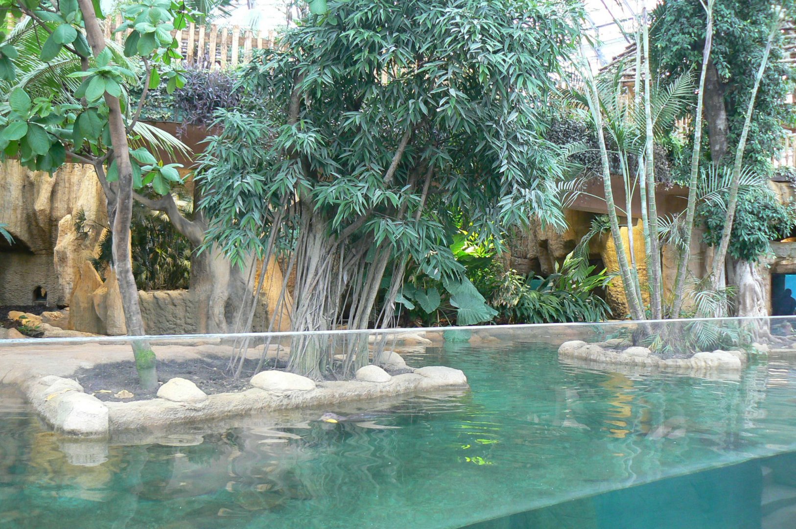 Tropical dome - Giant river otters exhibit