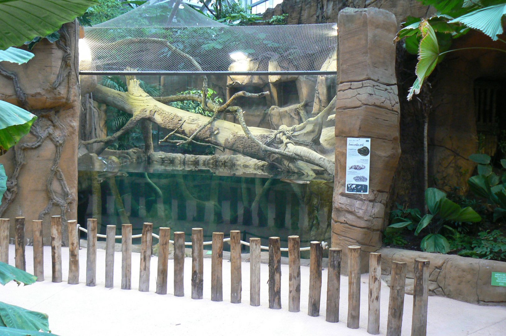 Tropical dome - Green anacondas exhibit