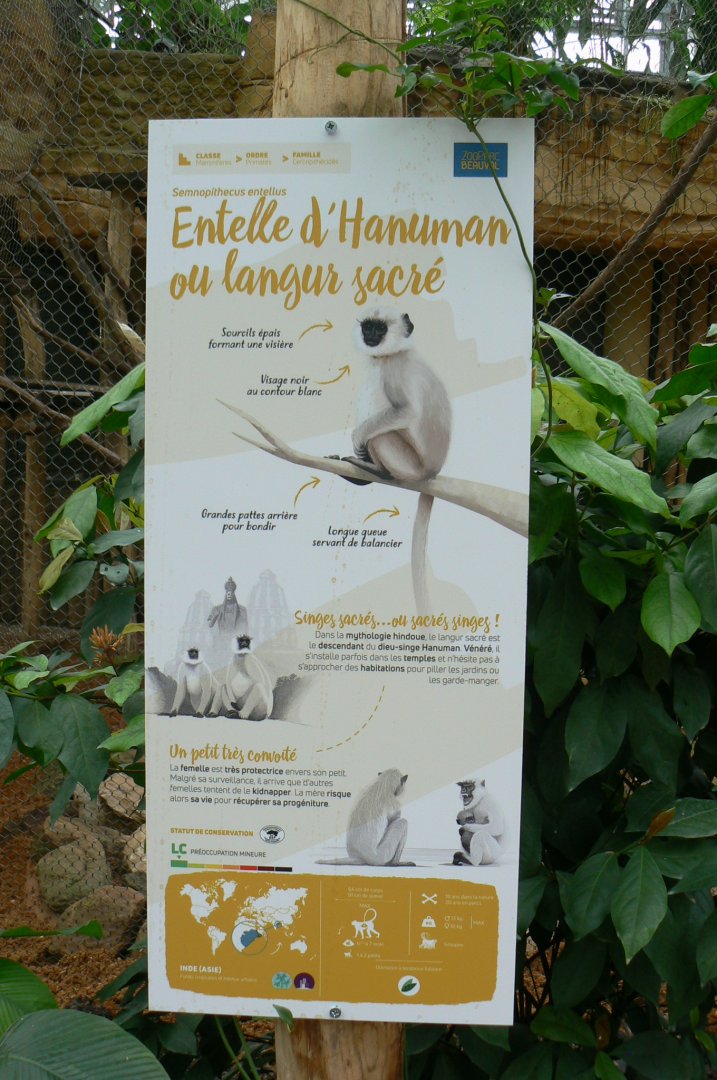 Tropical dome - Grey langurs Signage